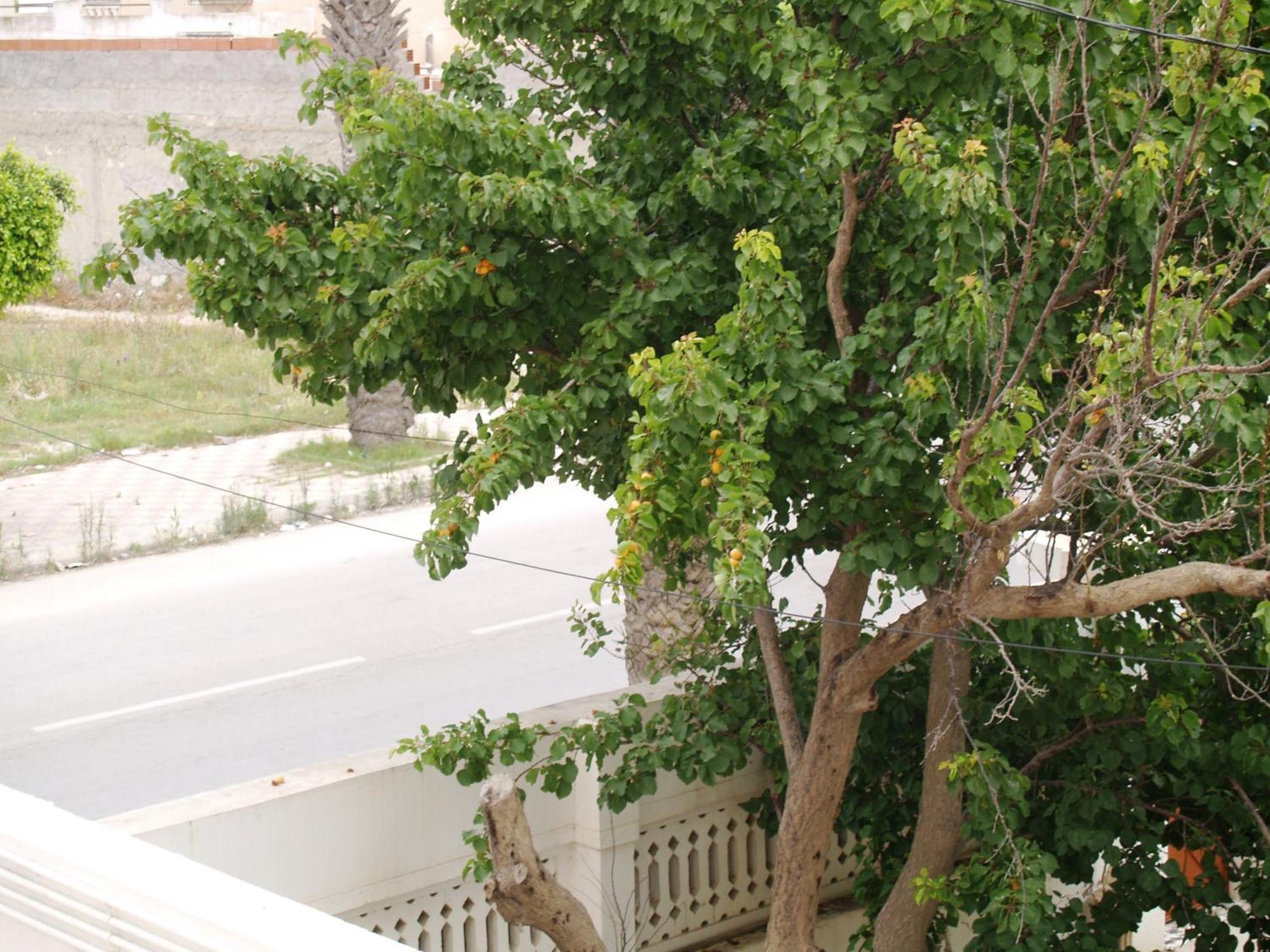 Dar El Amen Appartements มาห์เดีย ห้อง รูปภาพ